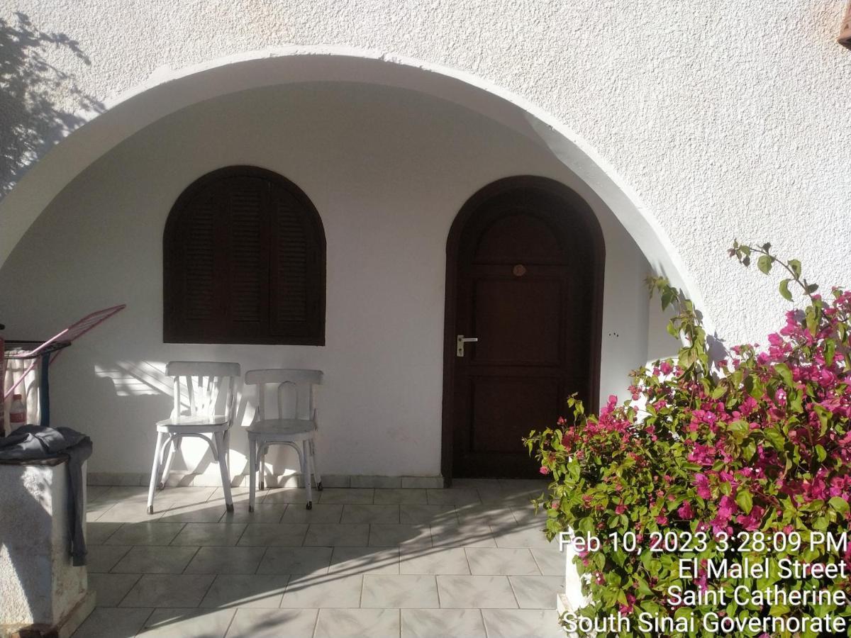 Nook Hostel Dahab Exterior foto