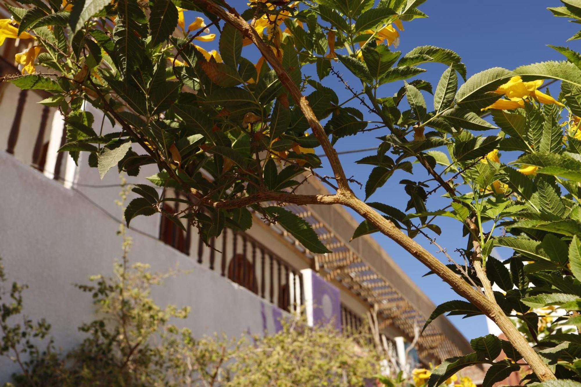 Nook Hostel Dahab Exterior foto