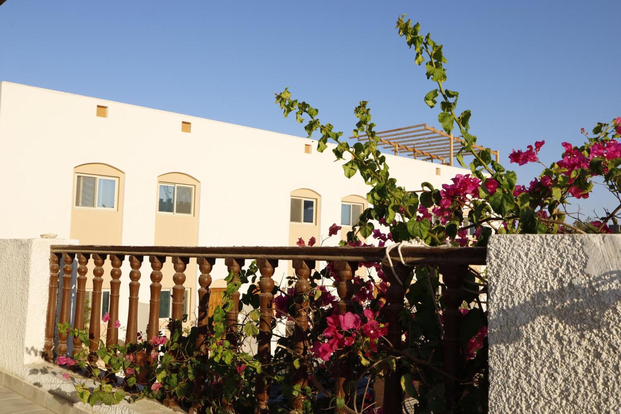 Nook Hostel Dahab Exterior foto