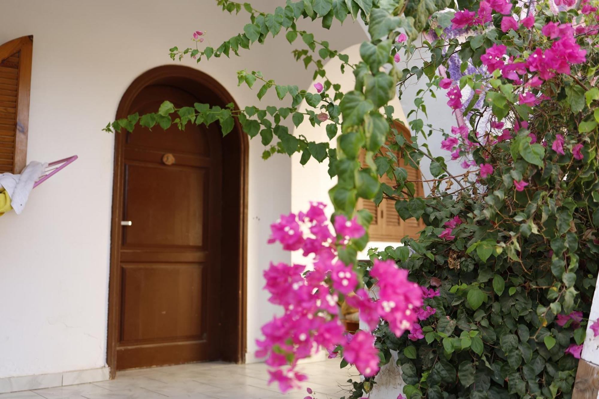 Nook Hostel Dahab Exterior foto