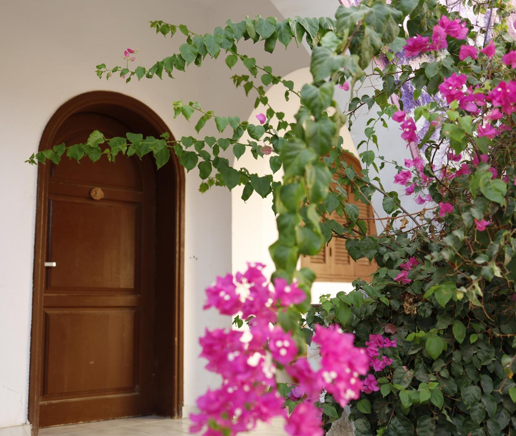 Nook Hostel Dahab Exterior foto